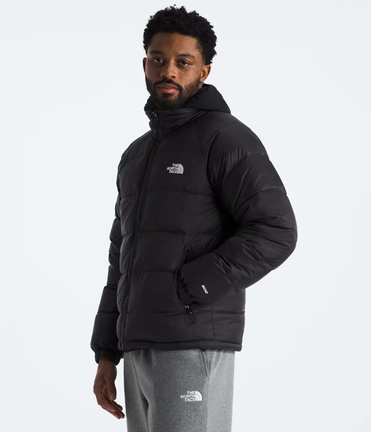 The North Face Men's Black Hooded Down Jacket – GORE-TEX Wide-Baffle Insulated Puffer
